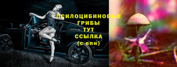 бошки Алексеевка