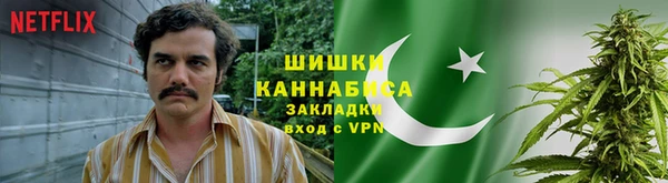 прущие крисы Алзамай